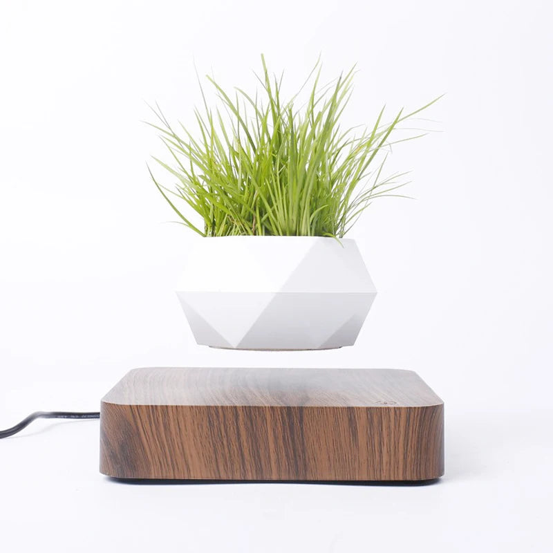 pot de bonsaï à lévitation magnétique pour décoration spéciale