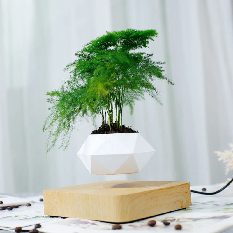pot de bonsaï à lévitation magnétique pour décoration spéciale