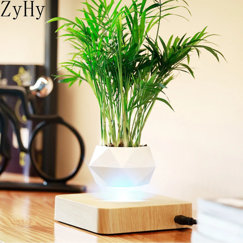 pot de bonsaï à lévitation magnétique pour décoration spéciale