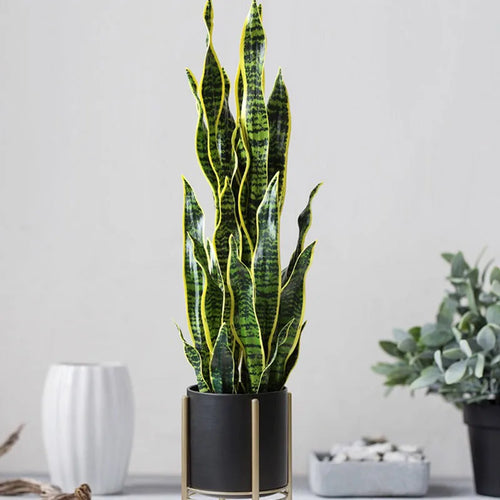 plantes artificielles tropicales réalistes pour décoration intérieure et extérieure