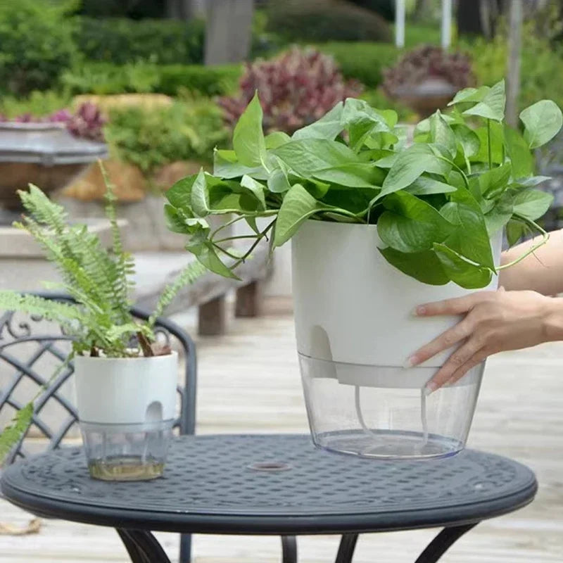 pot de fleurs auto-arrosant en plastique pour plantes succulentes