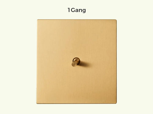 Interrupteur simple 1 voie en acier doré brossé