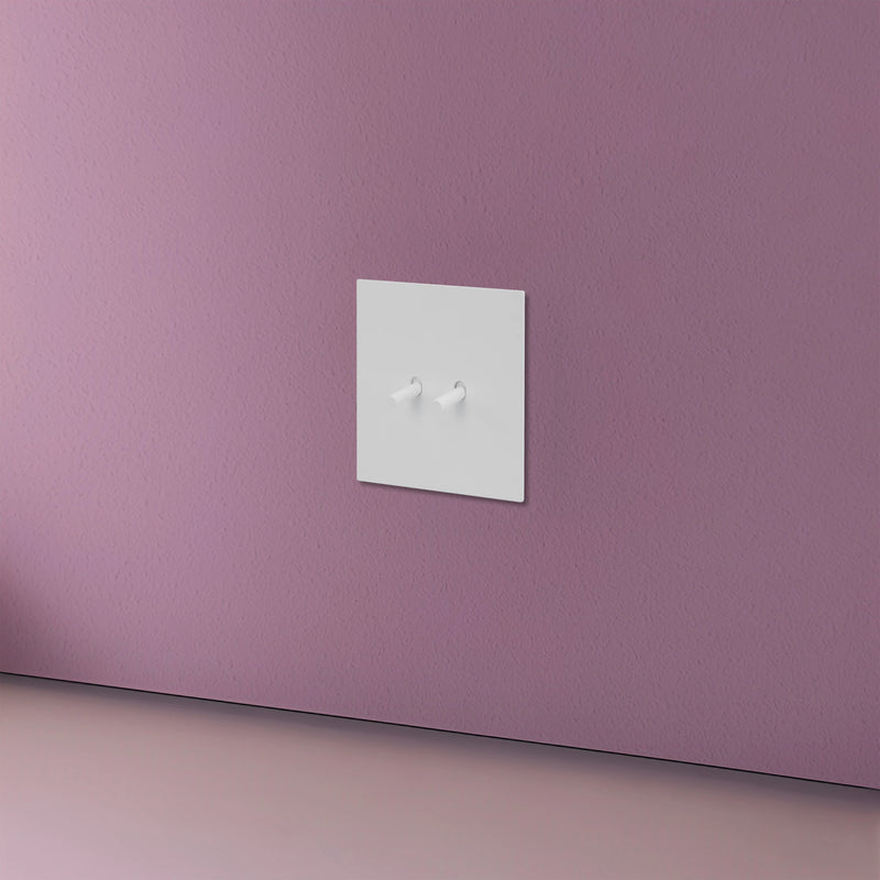 Prise électrique et double USB (Europe) en acier blanc mat