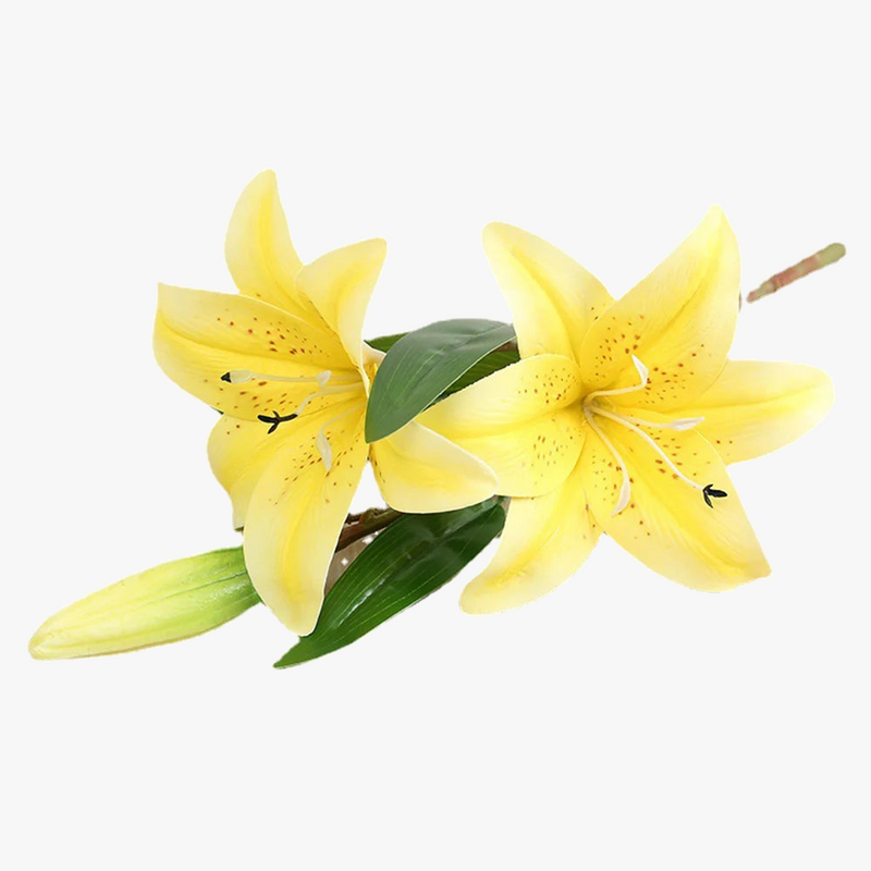 fleurs-artificielles-de-lys-pour-d-coration-de-jardin-et-mariage-3.png