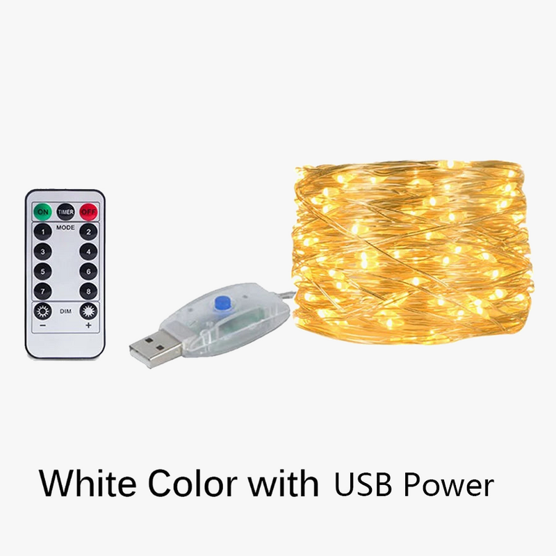 guirlande-lumineuse-led-avec-t-l-commande-pour-f-tes-et-d-corations-6.png