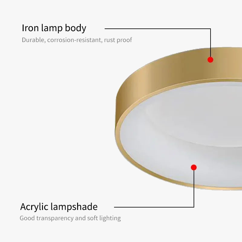 lampes-de-plafond-modernes-led-pour-int-rieur-simple-or-4.png