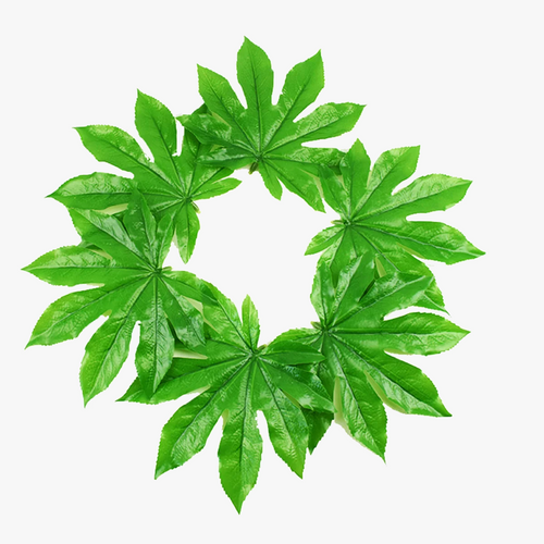 lot-de-plantes-artificielles-tropicales-en-plastique-r-alistes-pour-d-coration-0.png