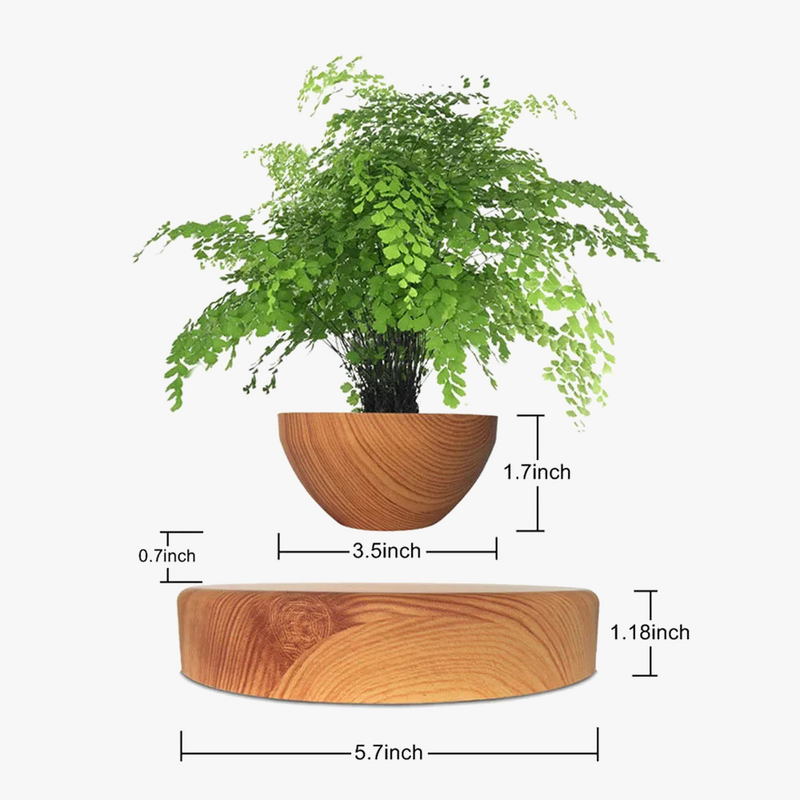 pot-de-bonsa-l-vitation-magn-tique-pour-d-coration-sp-ciale-6.png