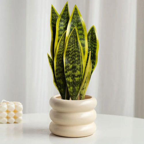 plantes artificielles sansevieria pour décoration extérieure moderne - vue 3 sur 6
