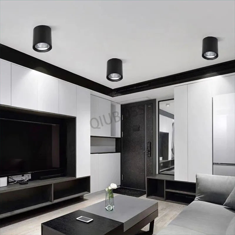 qiuboss spot led cylindre à intensité variable pour éclairage de plafond - vue 7 sur 6