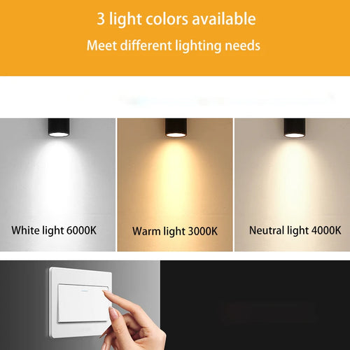 led spot monté en surface étanche avec tige de suspension