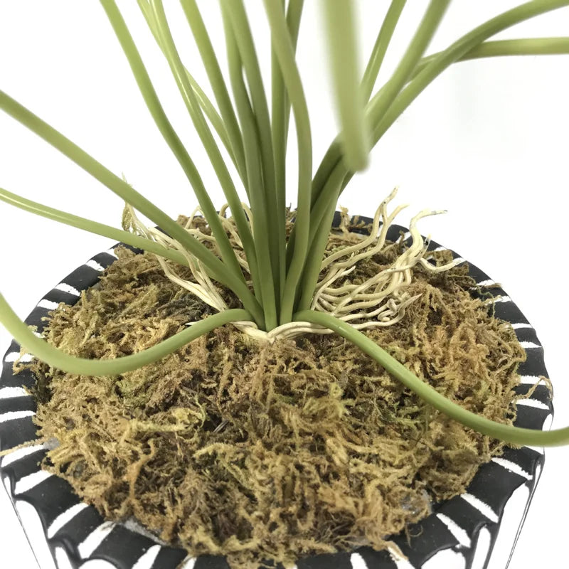 plantes de lotus artificielles décoratives pour intérieur et bureau - vue 8 sur 7