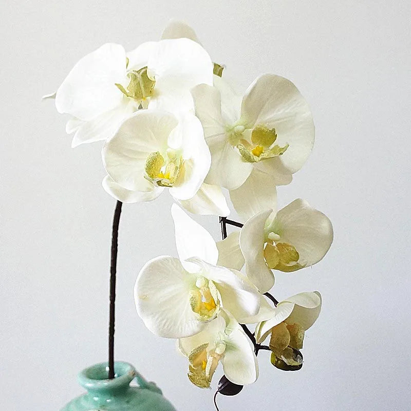 10 têtes d'orchidées artificielles rétro pour décorations élégantes - vue 4 sur 17