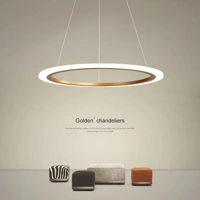lustre circulaire minimaliste moderne avec éclairage led d'apprentissage - vue 3 sur 9