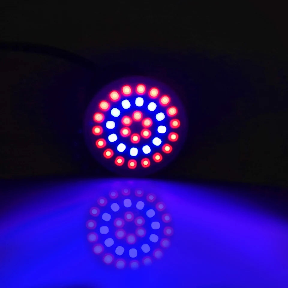 lampe de croissance à spectre complet pour plantes - vue 10 sur 9