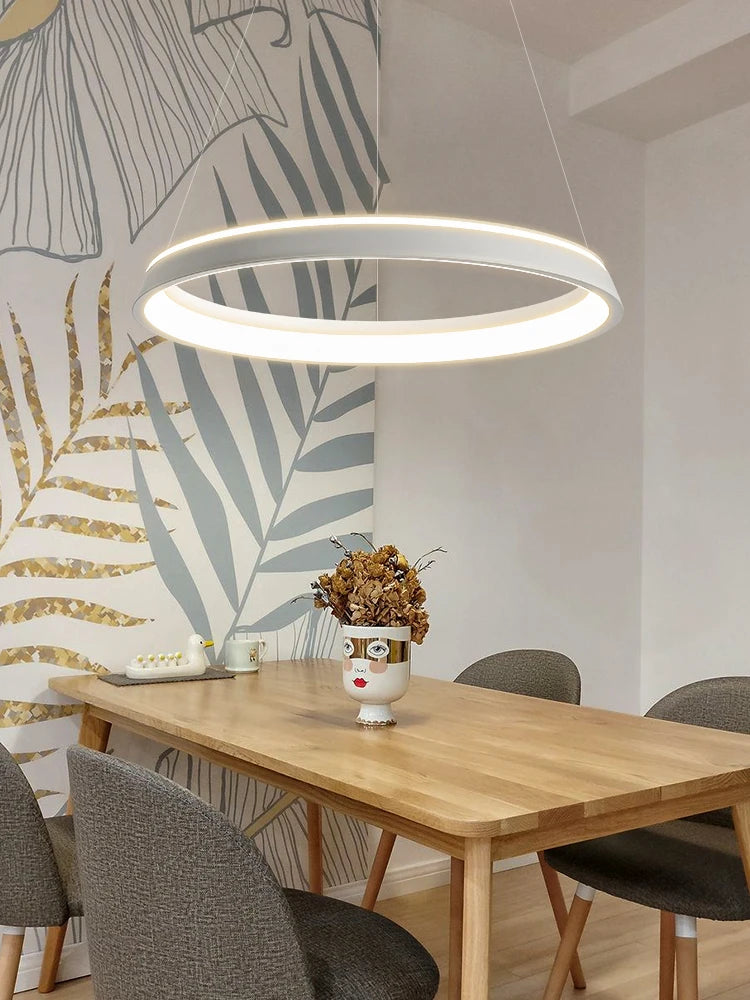 lustre minimaliste moderne pour restaurant et cuisine - vue 5 sur 7