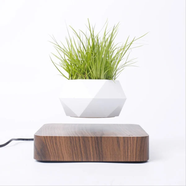 pot de bonsaï à lévitation magnétique pour décoration spéciale