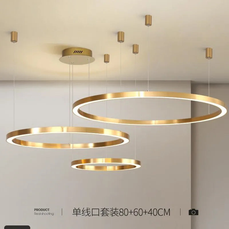 lustre led moderne brossé avec anneau lumineux - vue 2 sur 12