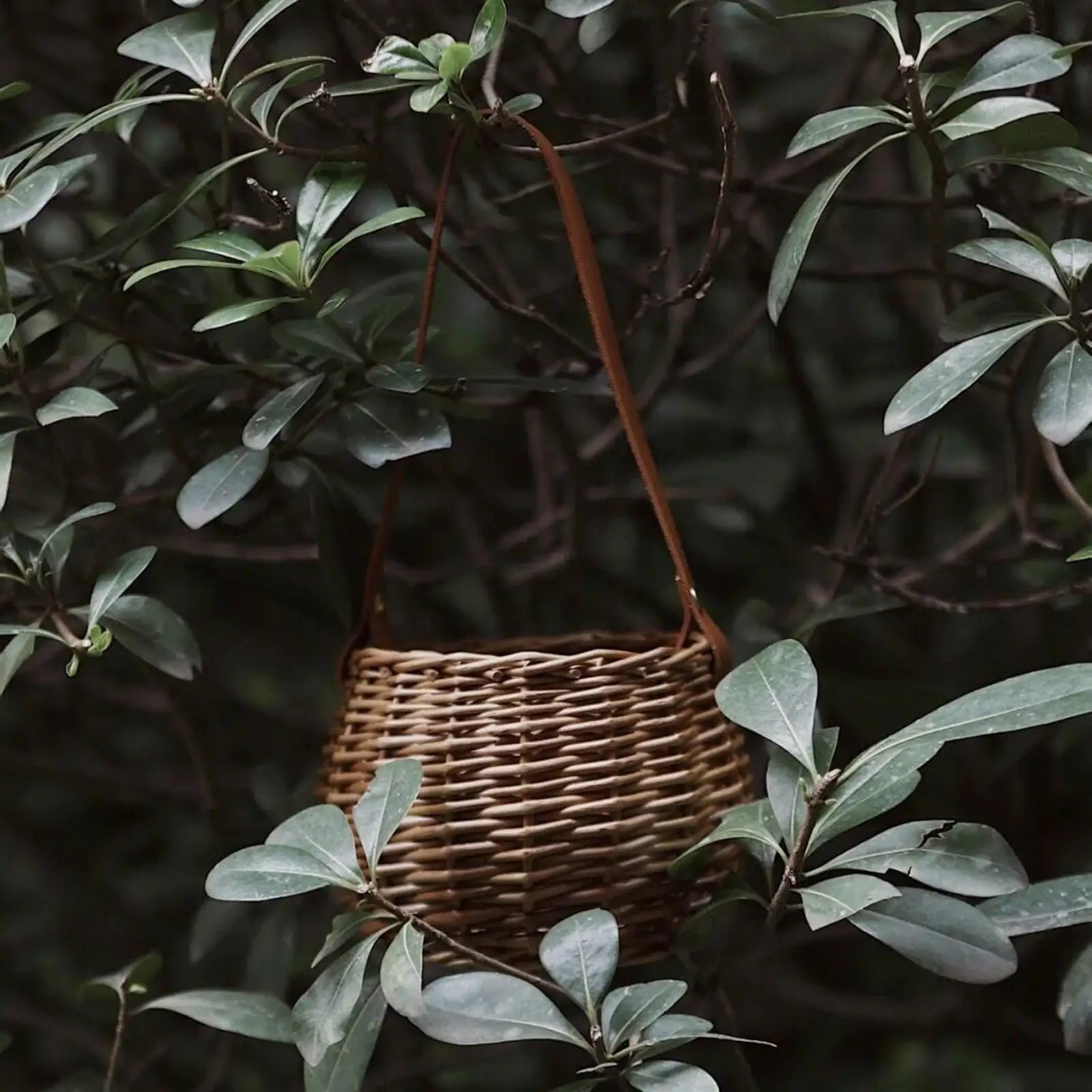 panier de rangement tissé pour plantes et fleurs - vue 8 sur 7