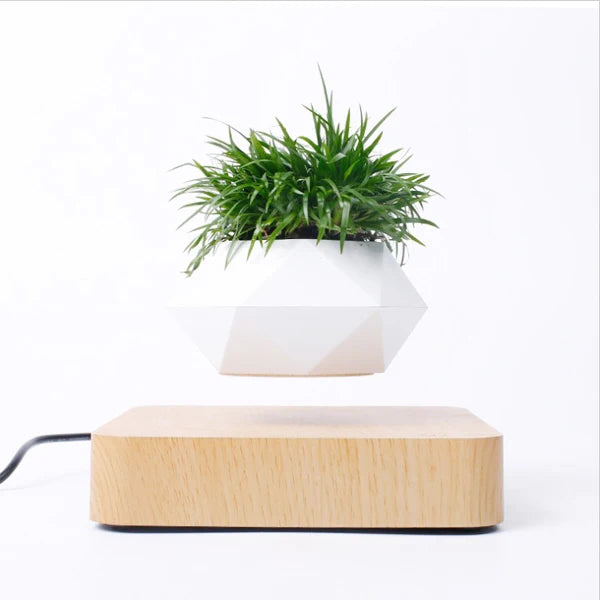 pot de bonsaï à lévitation magnétique pour décoration spéciale