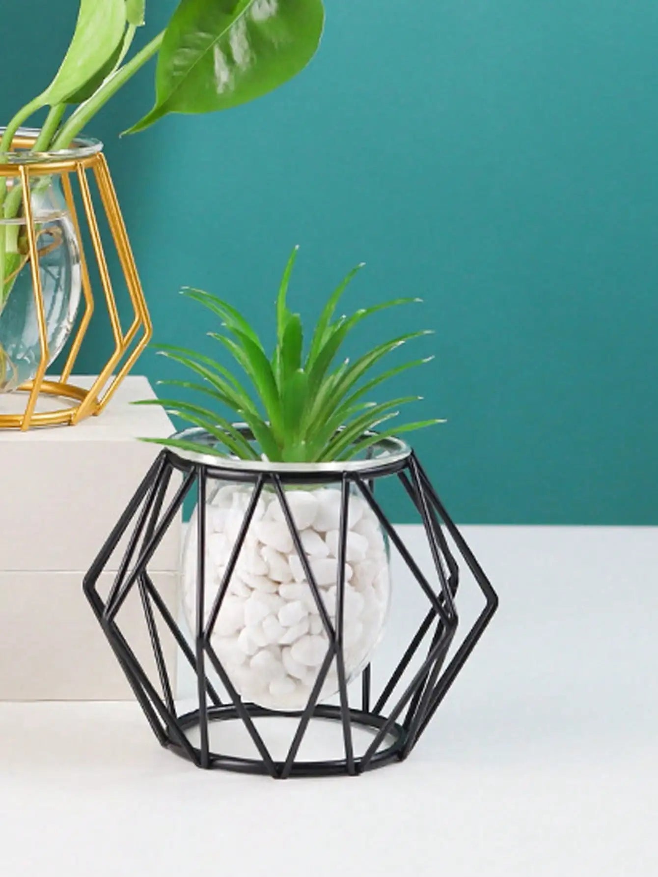 arrangement de fleurs transparent pour décoration intérieure avec plantes d'eau - vue 4 sur 6