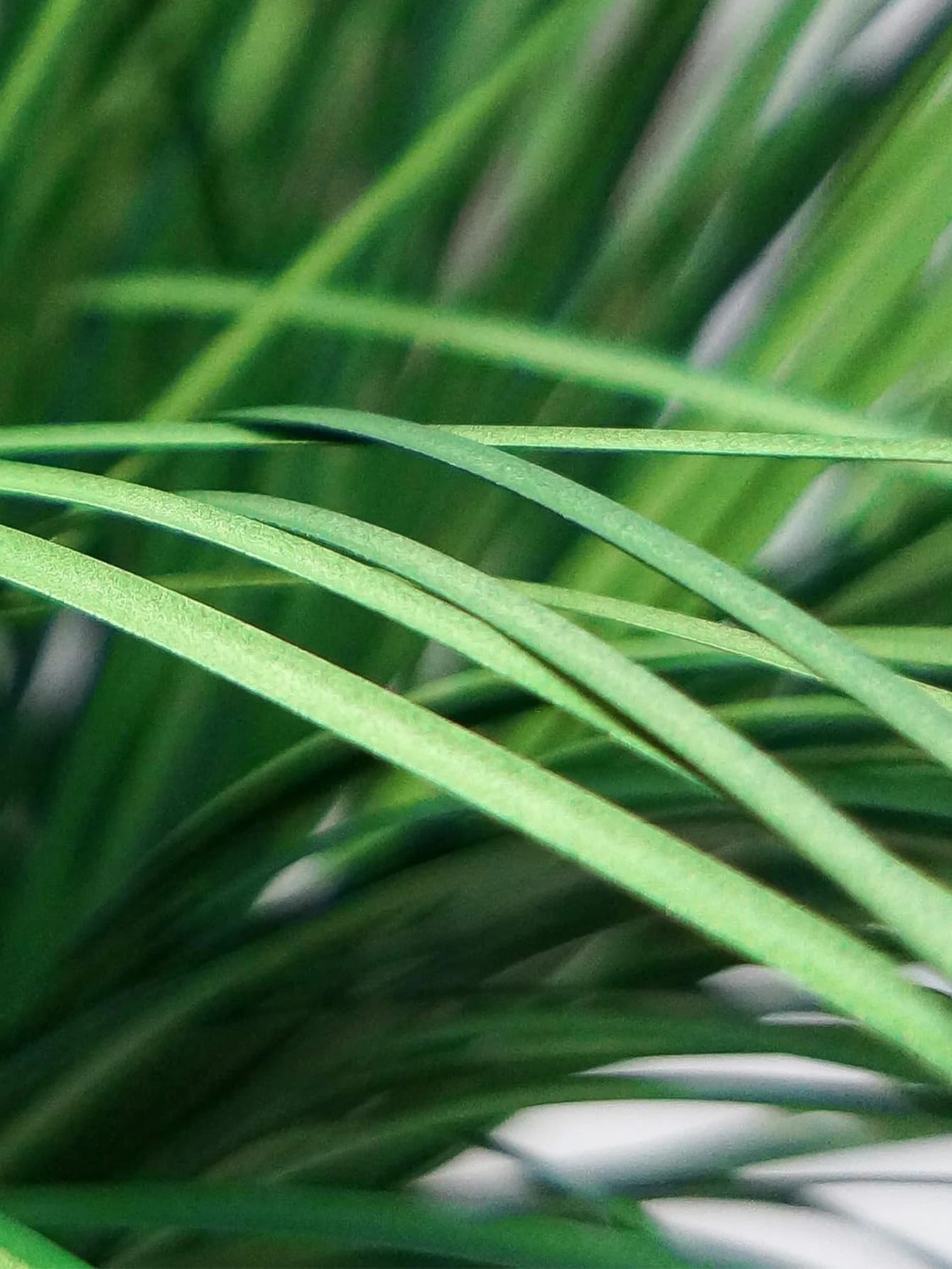 plantes artificielles herbe d'oignon pour mariage jardin décoration intérieure - vue 7 sur 7