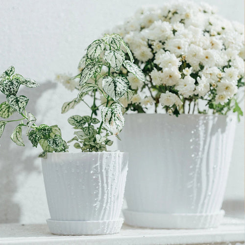 pot de fleurs haut simple à ondulations en plastique multicolore