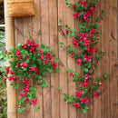 fleurs artificielles vignes prunes pour décoration fête et festival