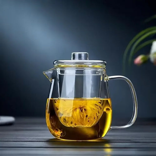 Théière verre borosilicate avec infuseur style moderne