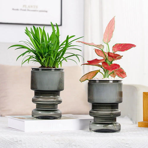 pot de fleurs hydroponique avec arrosage automatique décoration jardin