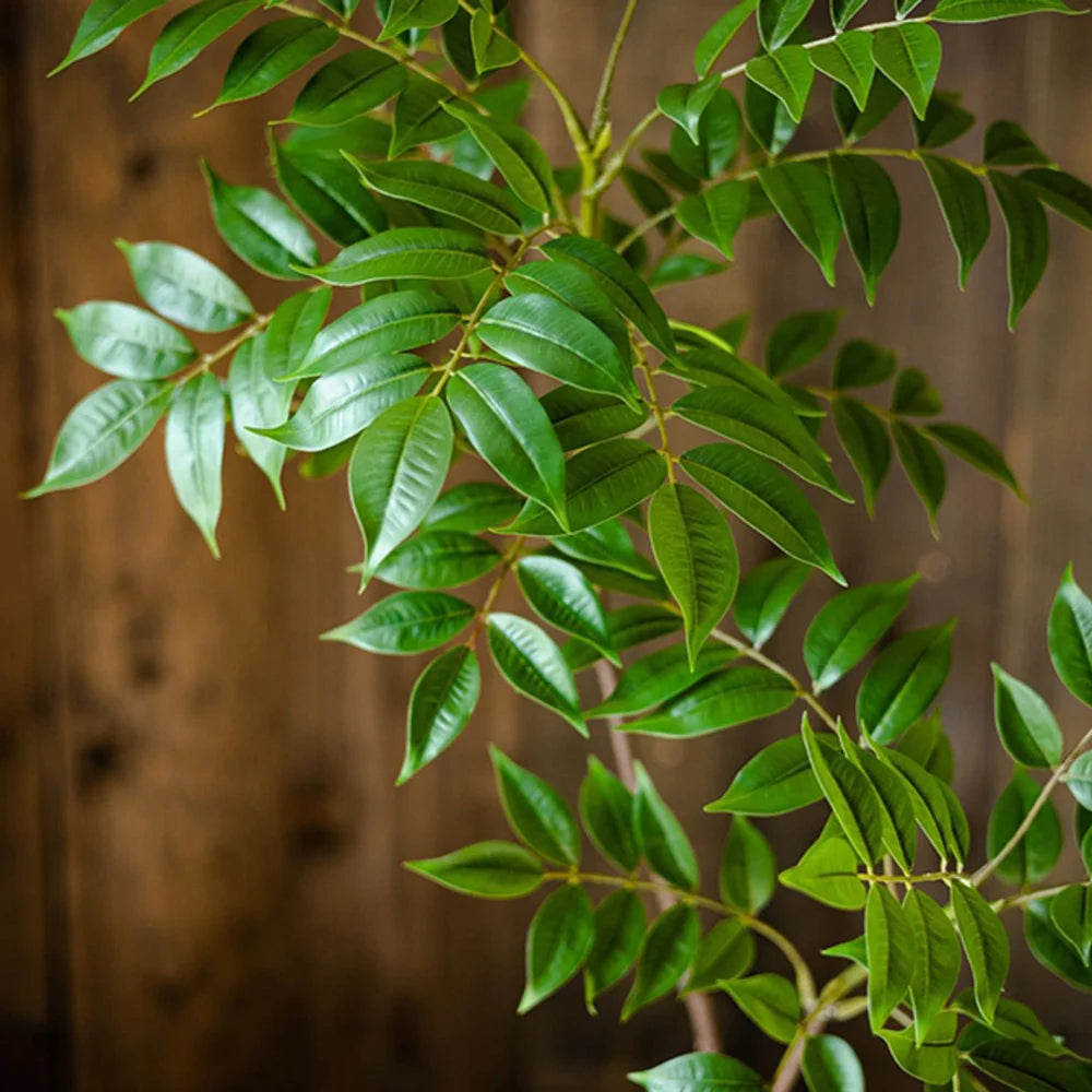 grande branche artificielle de ficus pour décoration intérieure et extérieure - vue 5 sur 9