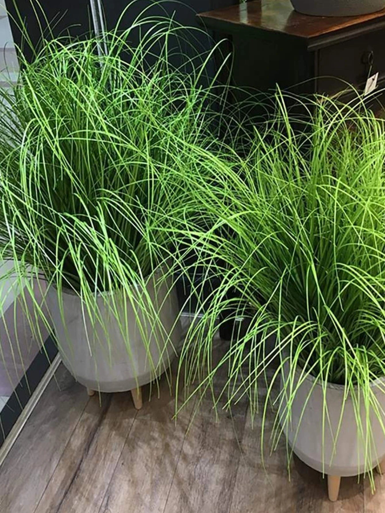 plantes artificielles herbe d'oignon pour mariage jardin décoration intérieure - vue 4 sur 7