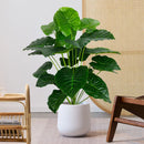 grande plante tropicale fausse feuille de bananier pour décoration intérieure et extérieure