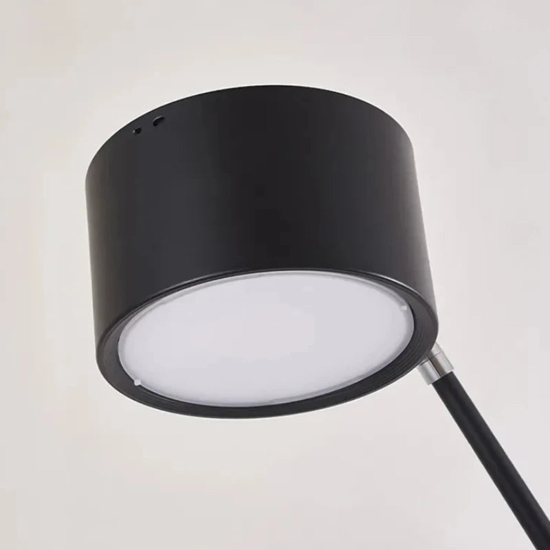 lampadaire led nordique longue conception pour tables basses - vue 5 sur 11