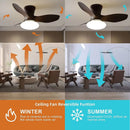ventilateurs de plafond lumineux avec télécommande et variateur de lumière