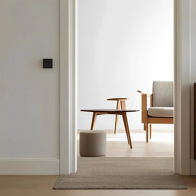 Prise électrique et double USB type C (Europe) en acier noir mat