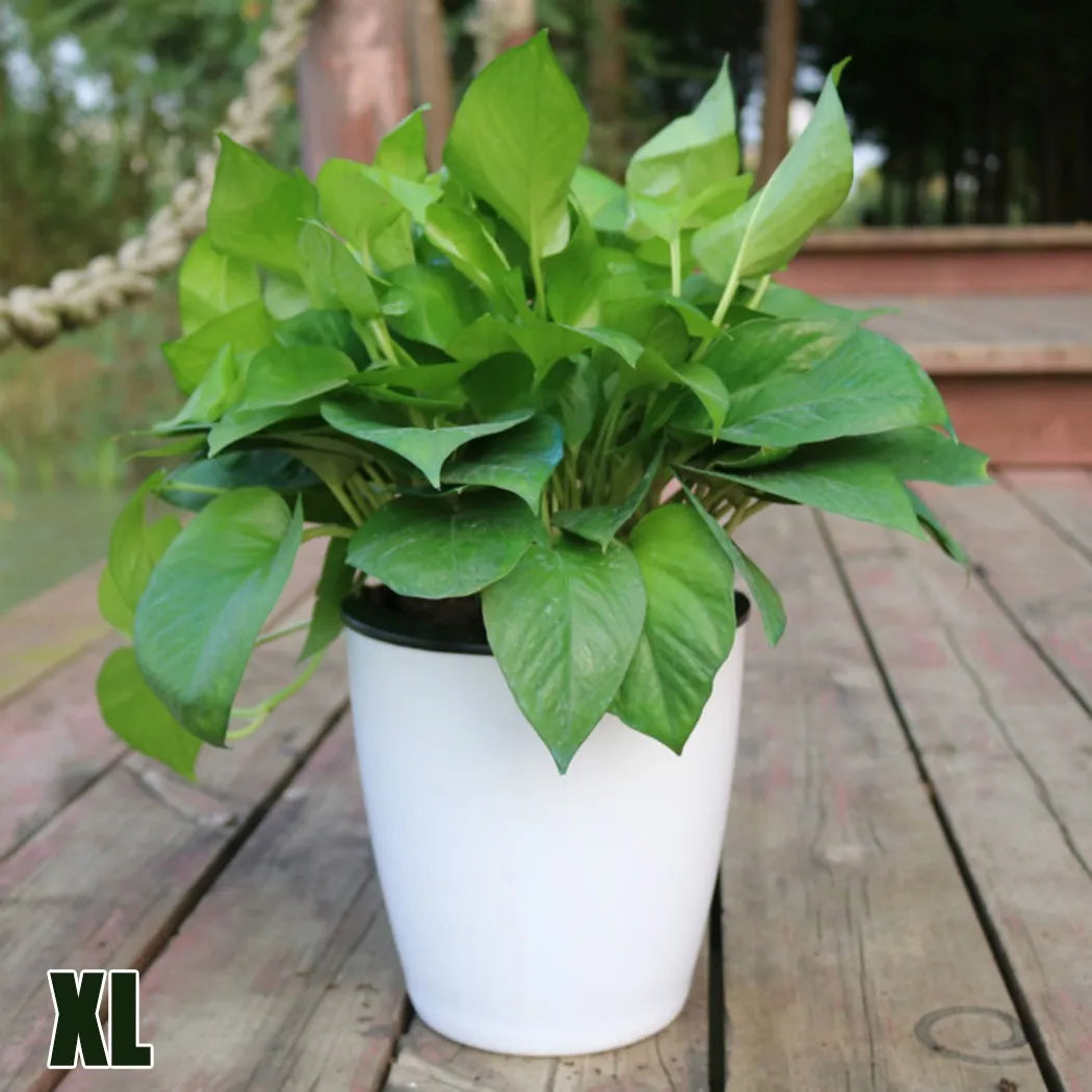 pot de fleurs automatique en plastique effet porcelaine - vue 8 sur 12
