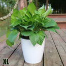 pot de fleurs automatique en plastique effet porcelaine