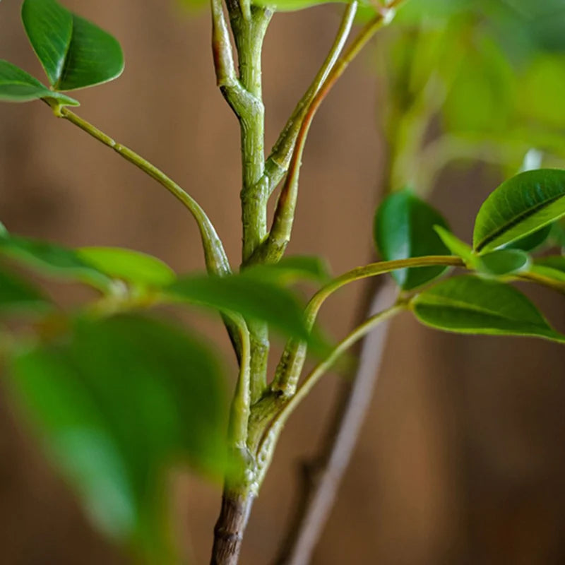 grande branche artificielle de ficus pour décoration intérieure et extérieure - vue 7 sur 9