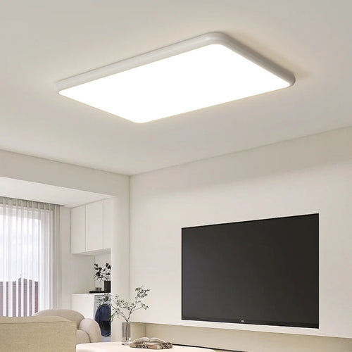 Minimalistische Deckenleuchte im nordischen Stil mit Vollspektrum - vue 2 sur 18