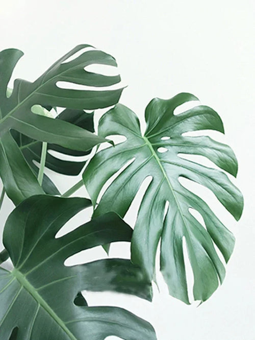 peinture diamant 5D plante verte broderie mosaïque décoration murale