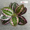 feuilles de phénix artificielles décoration verte en plastique