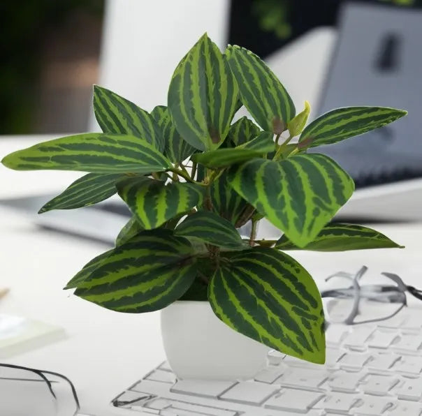 plantes artificielles bonsaï décorations pour maison et jardin - vue 3 sur 7