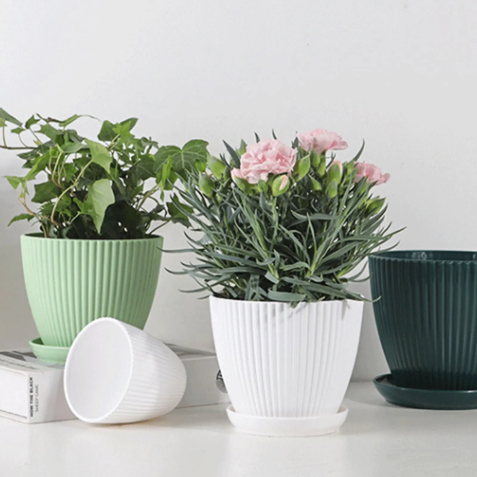 pots de jardin multicolores avec plateau pour semis de fleurs - vue 4 sur 10