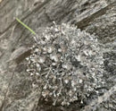 plante artificielle oignon vert décoration mariage et commerces