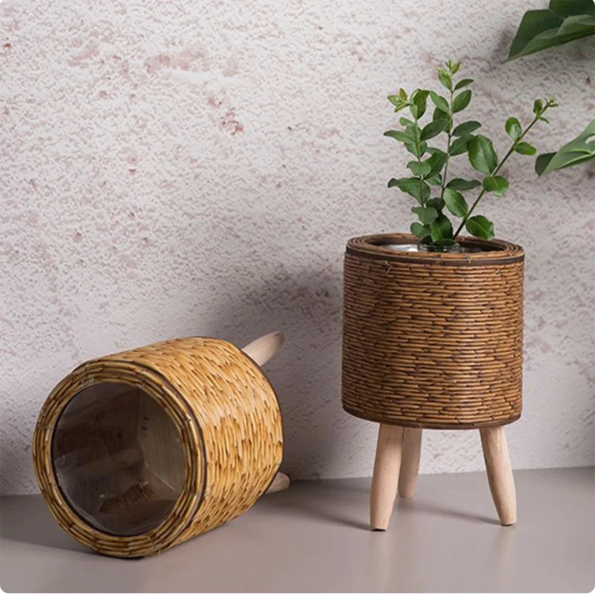 cadre créatif de rangement pour plantes et fleurs - vue 3 sur 11