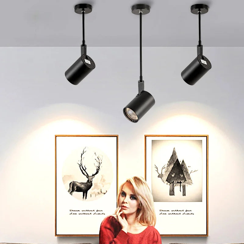 plafonnier télescopique led pour magasin et galerie d'art sur rail
