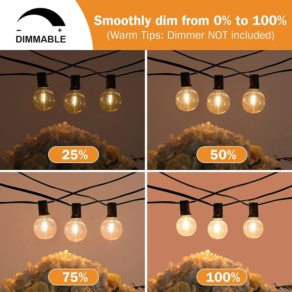 guirlande lumineuse led festoon g40 pour extérieur et décorations festives - vue 5 sur 6