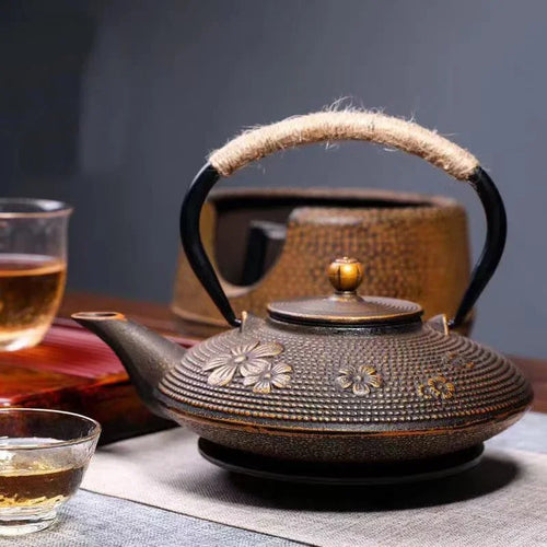 Théière japonaise en fonte avec infuseur filtre maille