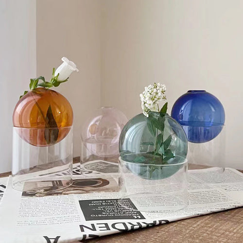mini vase rond en verre pour décoration hydroponique écologique